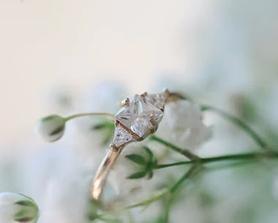 Cras rutrum accumsan tortor, vitae blandit nunc finibus non